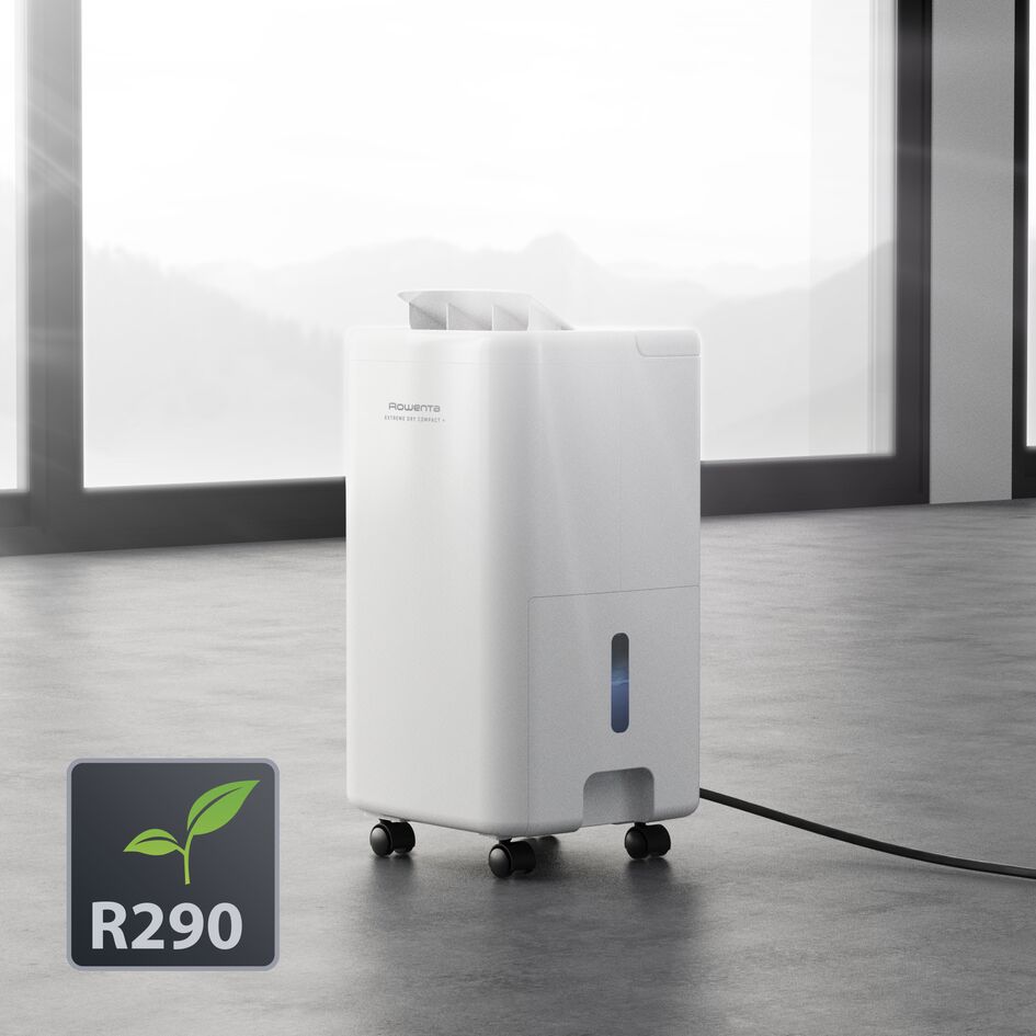 Choosing a dehumidifier for a small home: start with the room